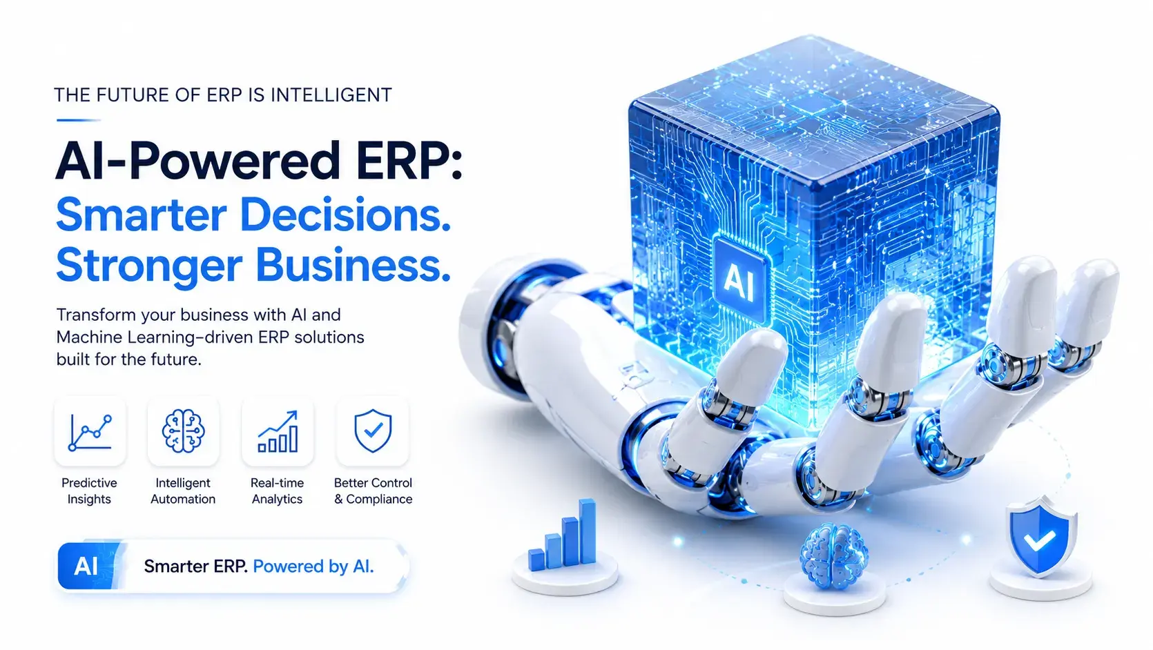 AI Business Dashboard, Tally Solutions & Complete Automation