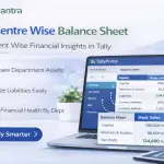 Enable Detailed Balance Sheet and P&L Account