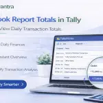 Enable Daybook Report Total