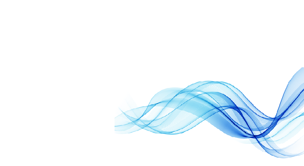 Tally Software Services (TSS)